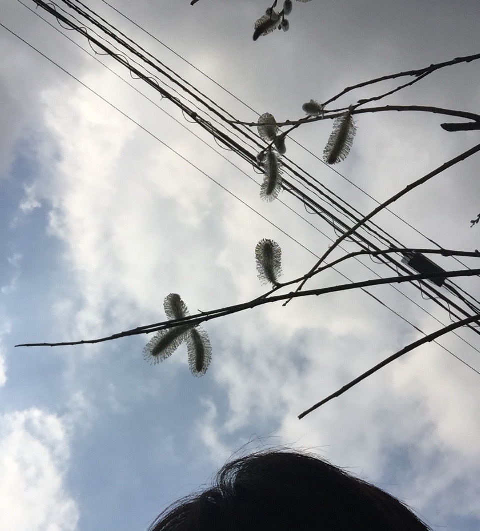 ポカポカ春がやってきた。_f0319325_15424129.jpeg