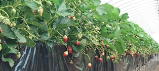 c0109726_16381861.jpg