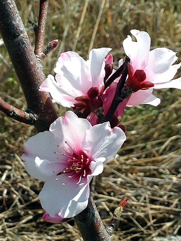 b0302227_16262387.jpg
