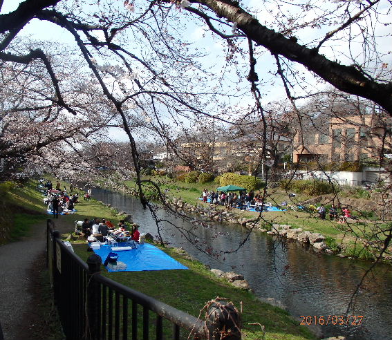 a0108328_20375922.jpg