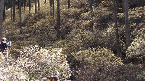 e0202031_11141211.jpg
