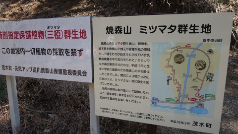 e0202031_1183545.jpg