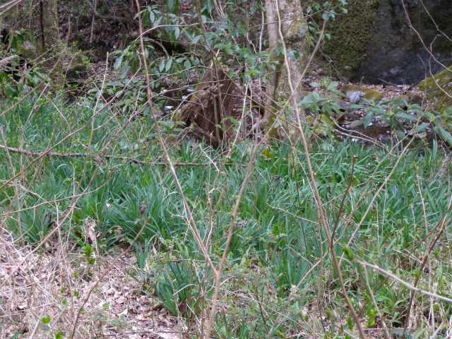 e0272335_21133082.jpg