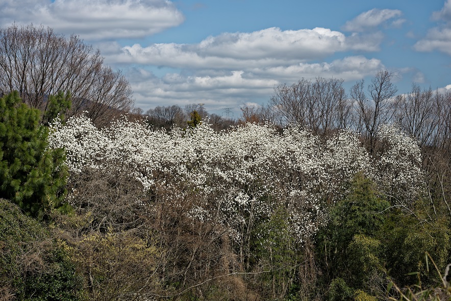 f0274536_16225578.jpg