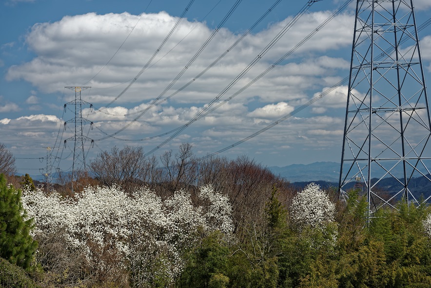 f0274536_1623679.jpg