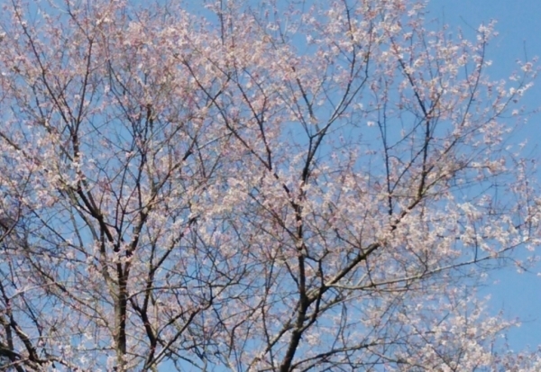 リフレッシュして♪_a0272042_14452129.jpg
