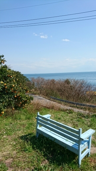 c0199544_22062759.jpg