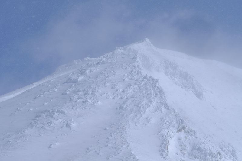 c0162846_1452952.jpg