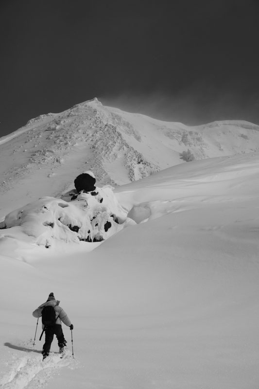 c0162846_152368.jpg