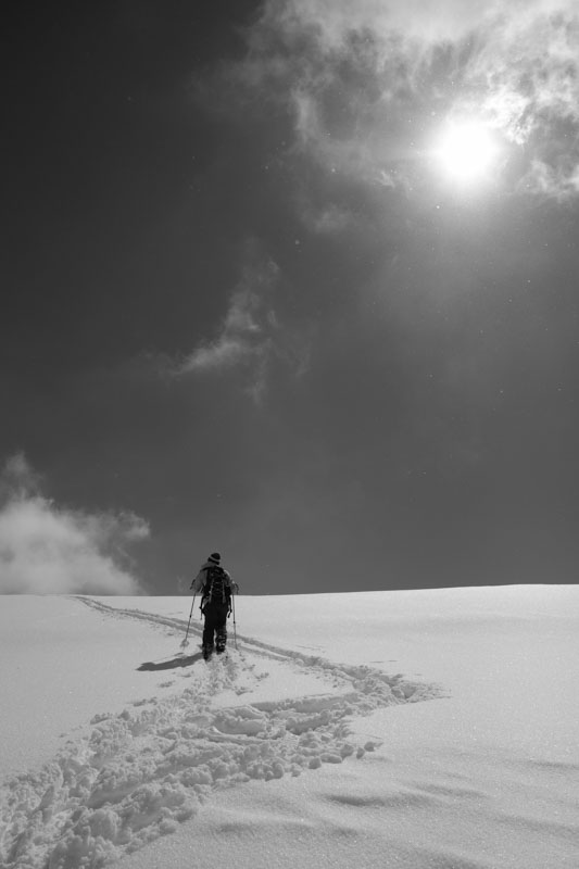 c0162846_1525254.jpg