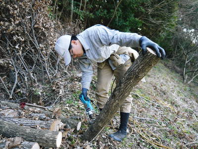 原木しいたけ コマ打ち作業2016(前編)_a0254656_1963930.jpg