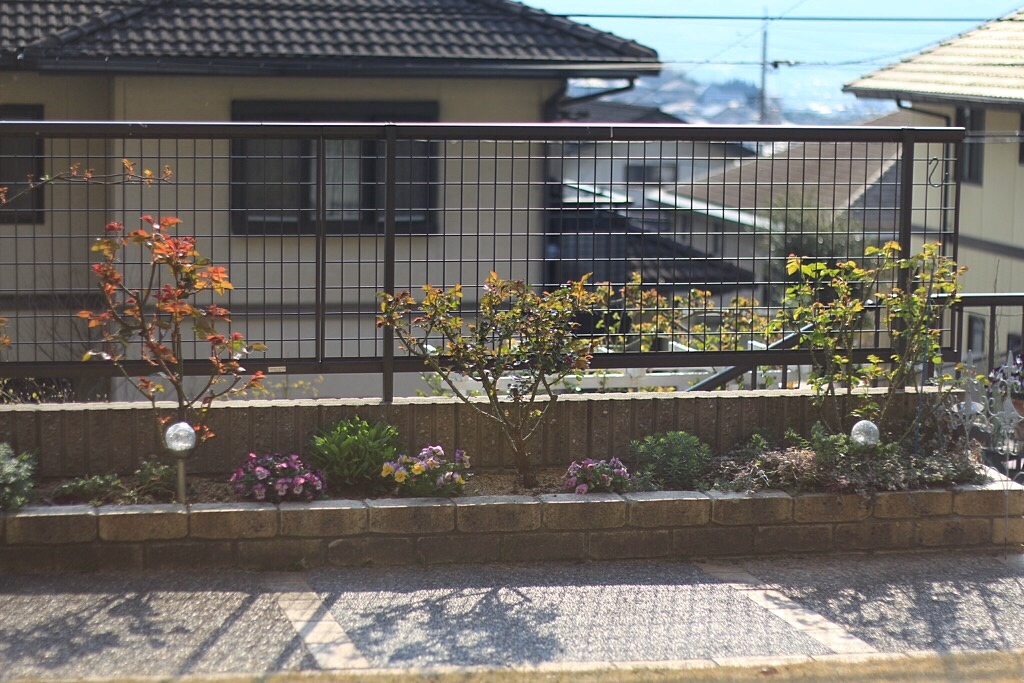 f0272164_18554826.jpeg