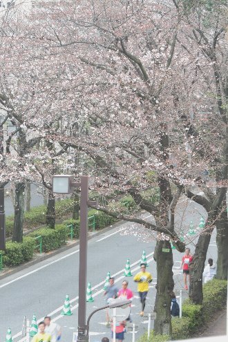 c0124773_22345881.jpg