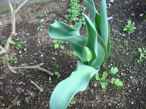 c0322794_9422993.jpg