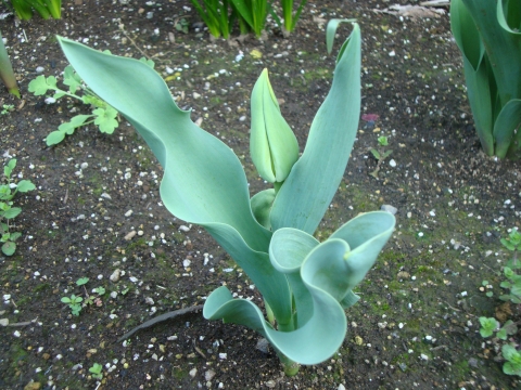 c0322794_9424942.jpg