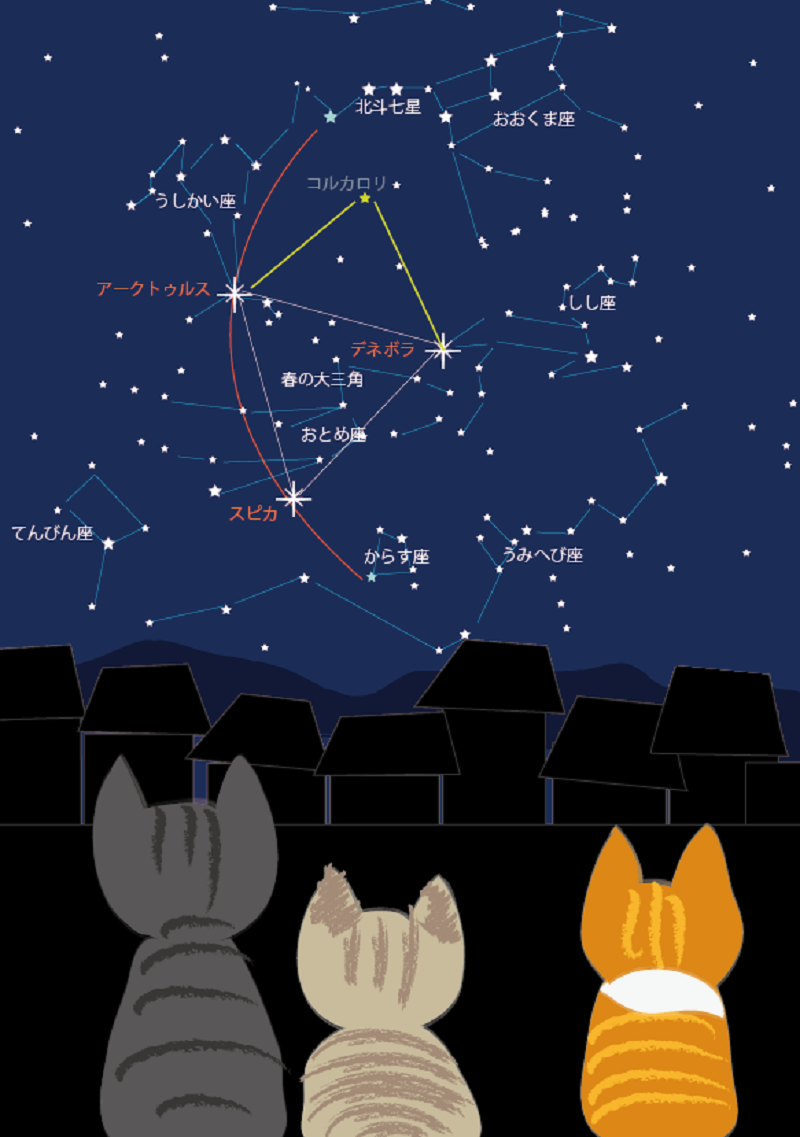 いよいよ春_a0333195_16204650.png