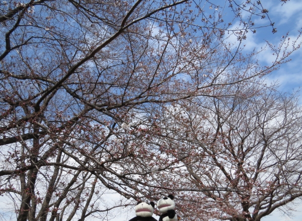 撮影の裏_f0033598_21154314.jpg