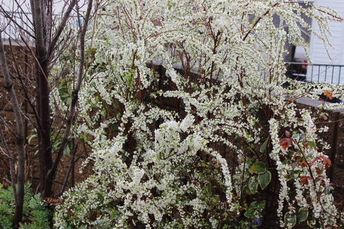 a0190999_23155471.jpg