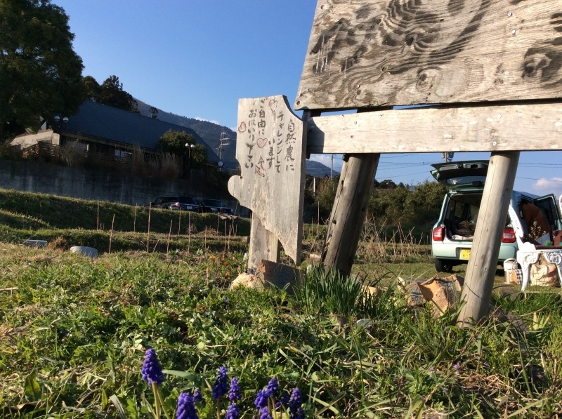 b0220002_16572175.jpeg