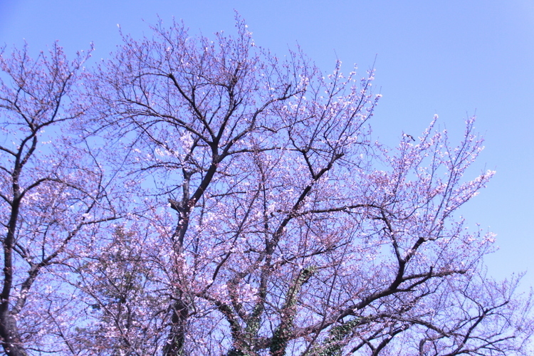 d0248502_10081598.jpg