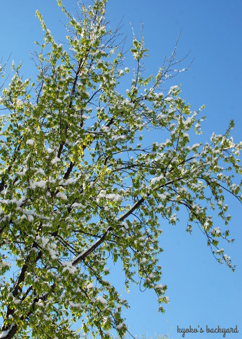 b0253205_01544584.jpg