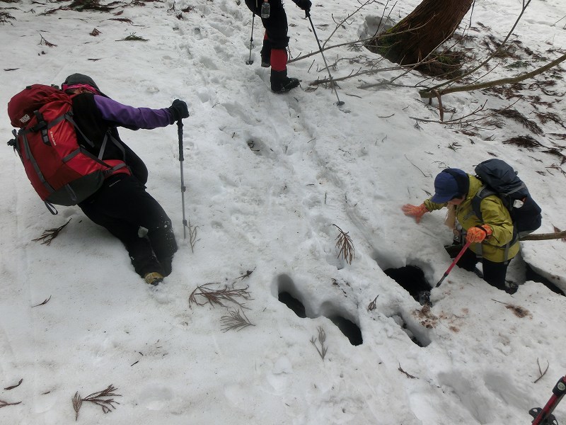 まだまだ雪が多い　氷ノ山と　扇ノ山_b0124306_22430863.jpg