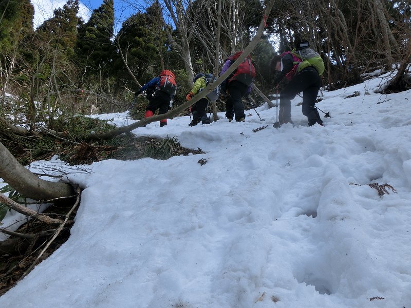 まだまだ雪が多い　氷ノ山と　扇ノ山_b0124306_22512230.jpg