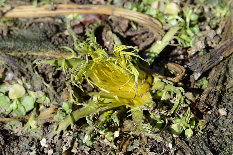 a0248508_15372161.jpg