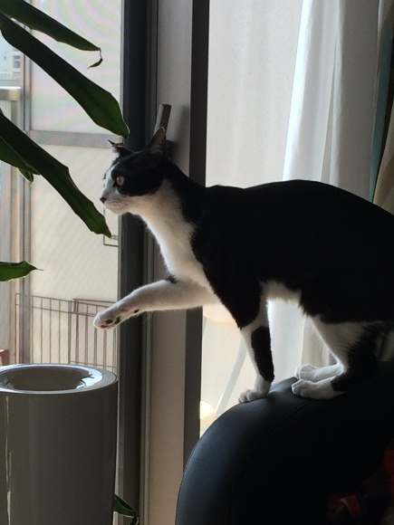 c0109109_14391388.jpeg