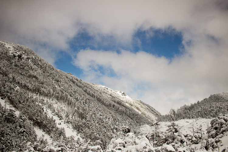 青空と粉雪と、陽だまりと北風と　北横岳_b0244811_2343178.jpg