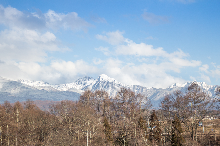 青空と粉雪と、陽だまりと北風と　北横岳_b0244811_23534449.jpg