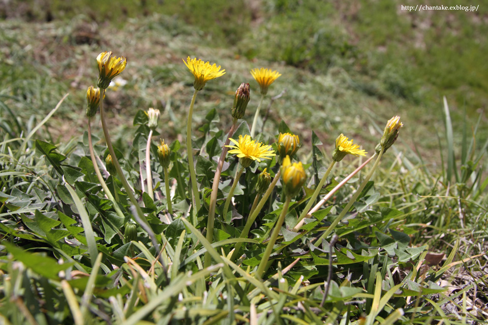 c0189013_032999.jpg