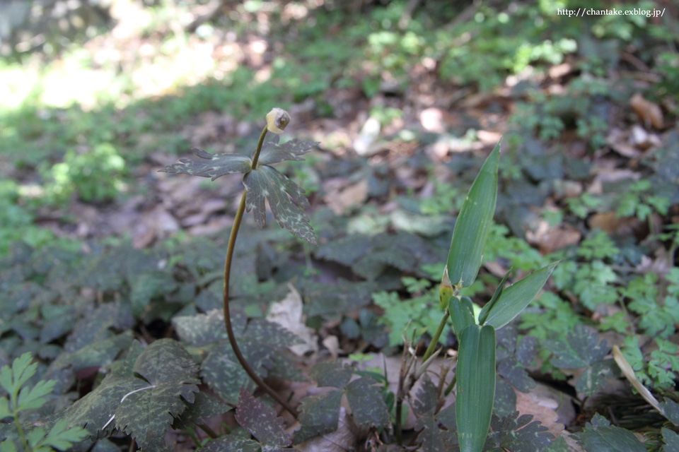 c0189013_056040.jpg