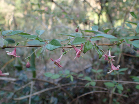 e0293913_950251.jpg