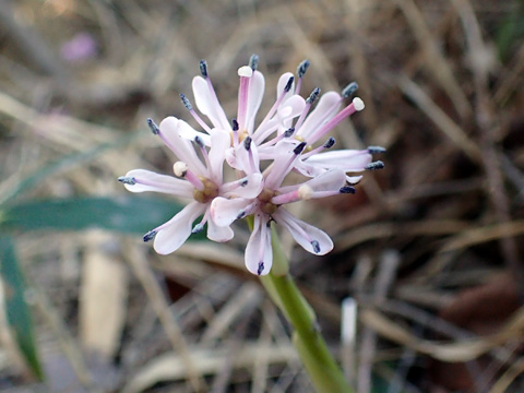 e0293913_9542731.jpg