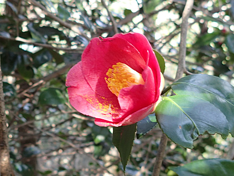e0293913_9581212.jpg