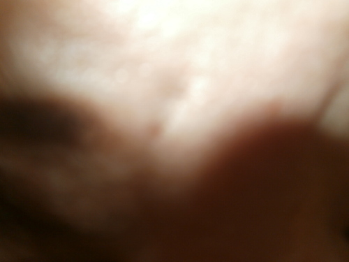 e0196821_16160965.jpg