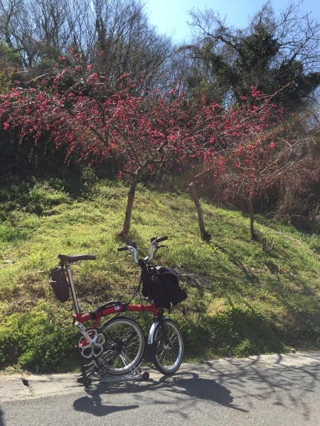 ブロンプトン体験ポタリング 試走_b0360823_06432167.jpg