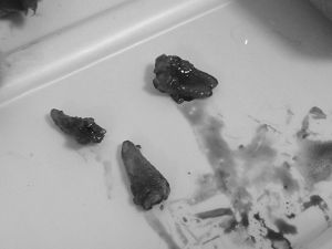 c0124823_15574045.jpg