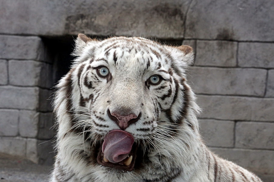 f0224624_8441213.jpg