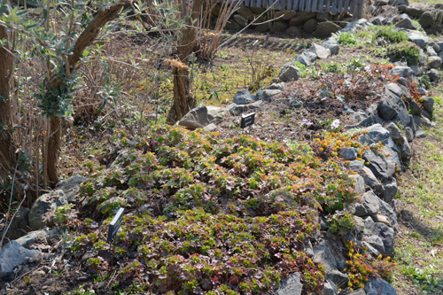 c0107129_18474656.jpg