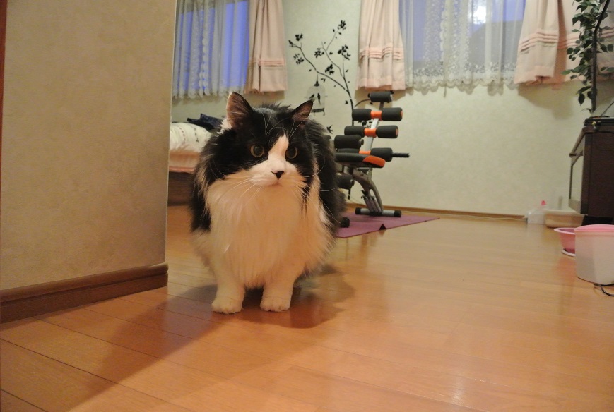 a0099131_131374.jpg
