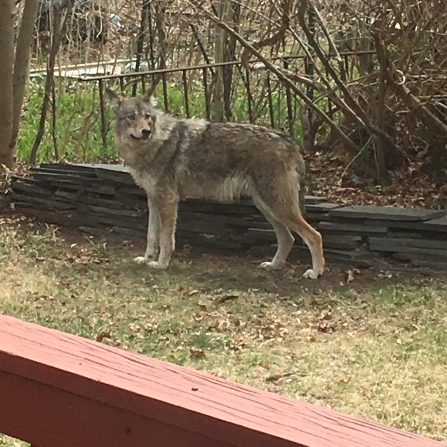 b0271640_04010298.jpeg