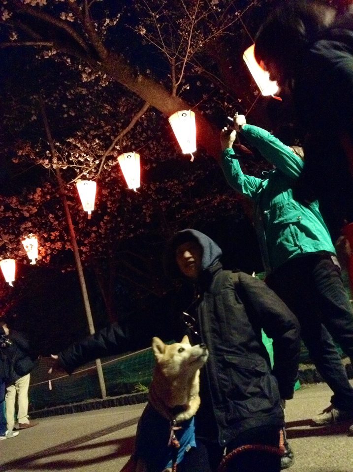 「藝術英語塾2015」最終回プレゼンの終了！_d0058440_22243874.jpg