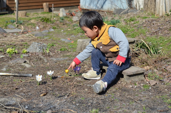 たんねのあかり2016_c0202242_1010812.jpg