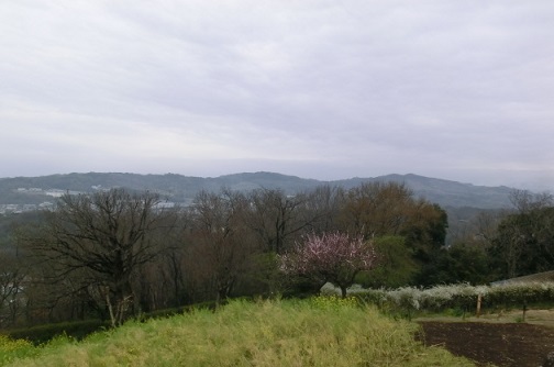 e0082045_2030167.jpg