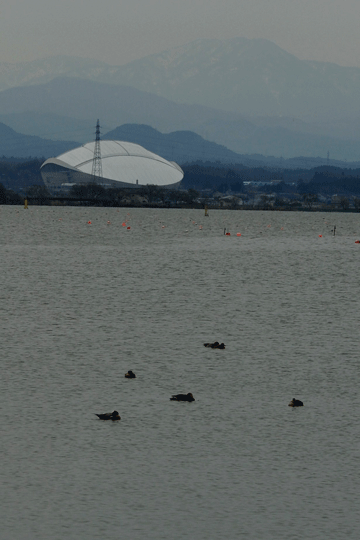 c0093046_945853.gif