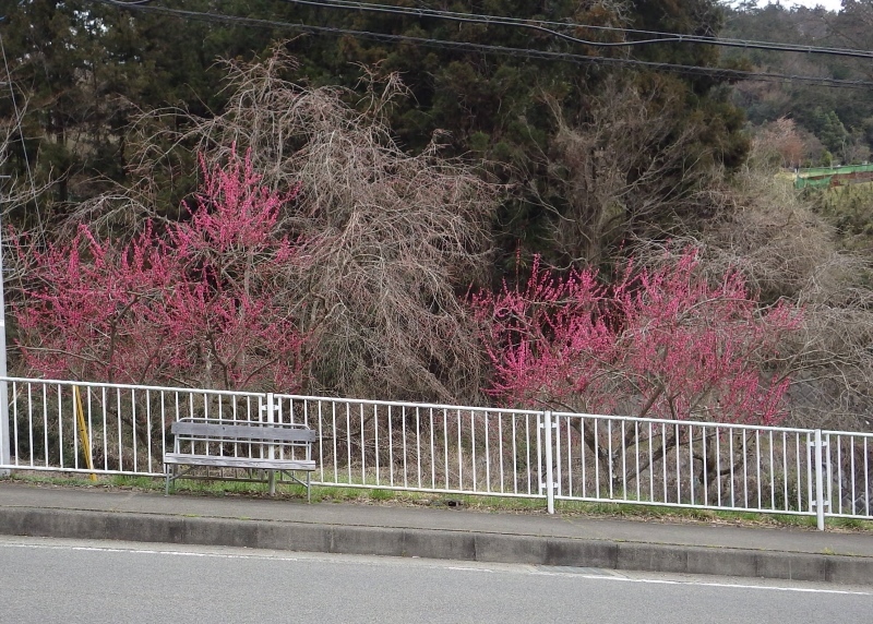 d0014748_07340938.jpg