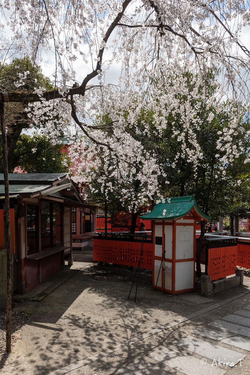 京都の桜 2016 〜車折神社〜_f0152550_21281179.jpg