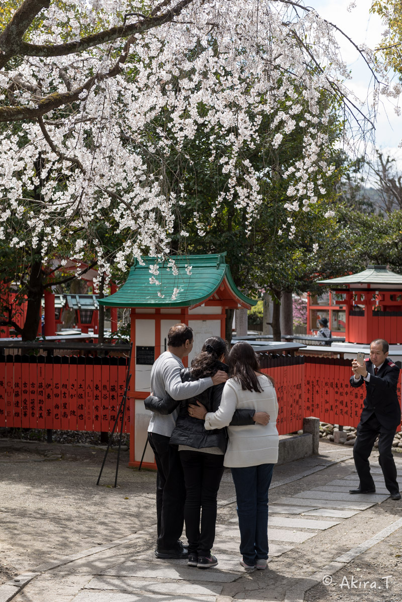 京都の桜 2016 〜車折神社〜_f0152550_21292193.jpg